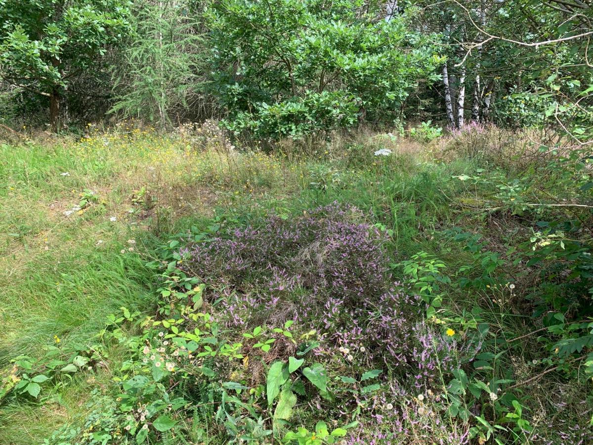 Huizefrankenau Villa Exteriör bild