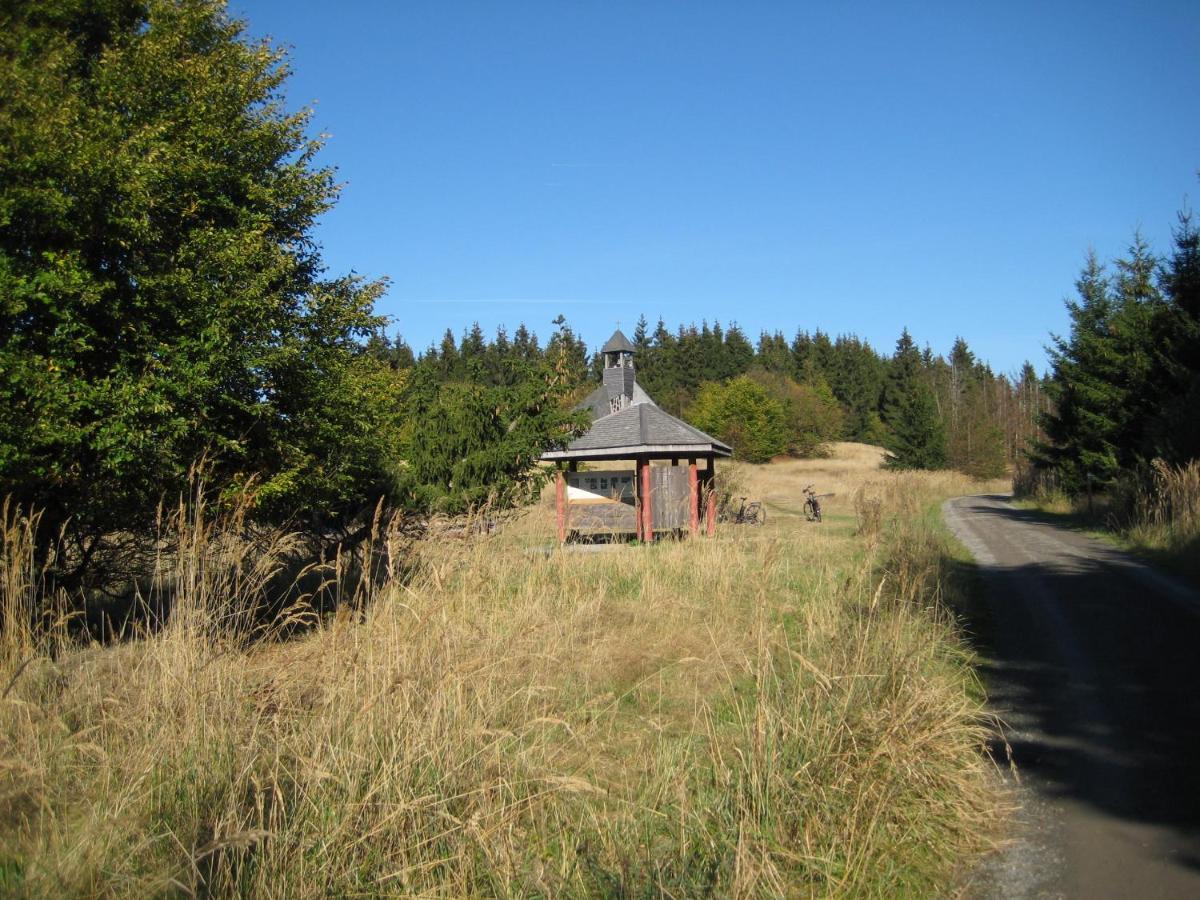 Huizefrankenau Villa Rum bild